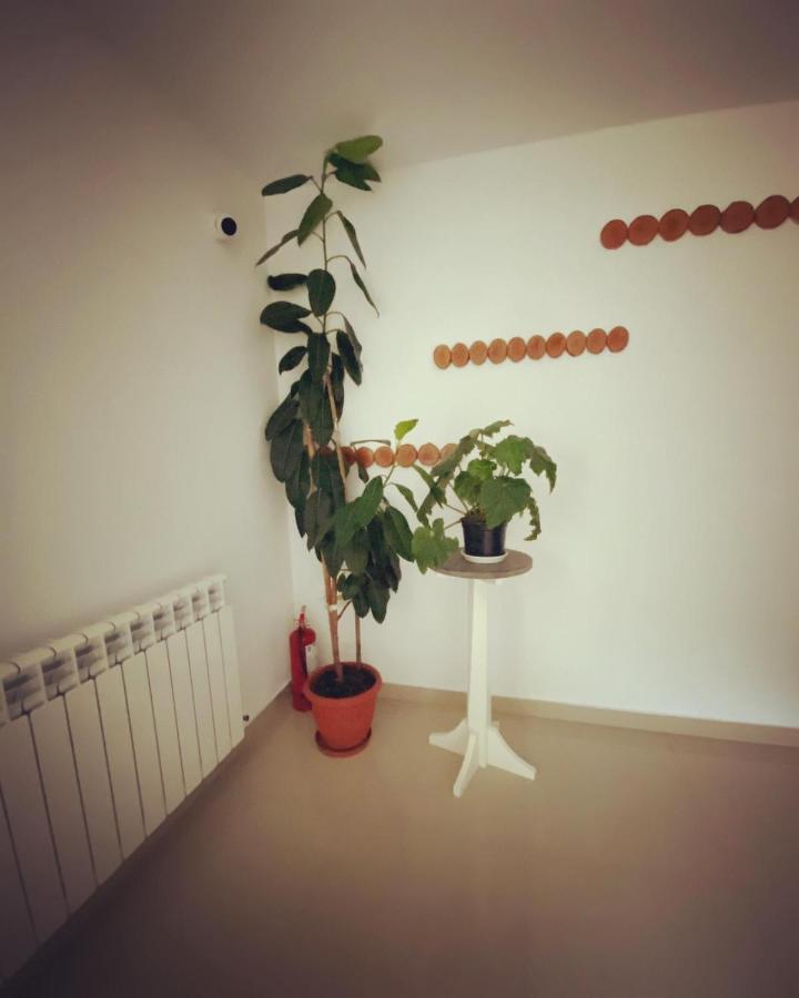 Maison Platanus 沃伊内亚萨 外观 照片